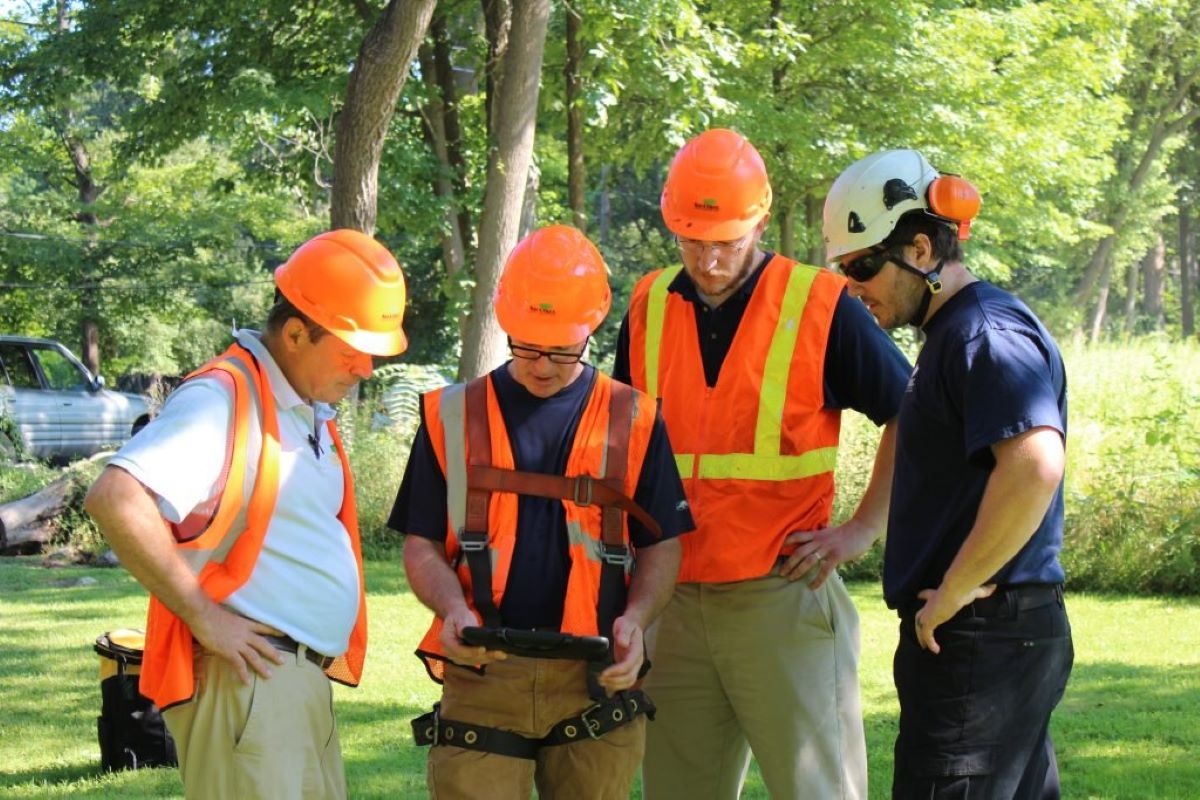 Why Local Tree Removal Knowledge Affects Safety and Results