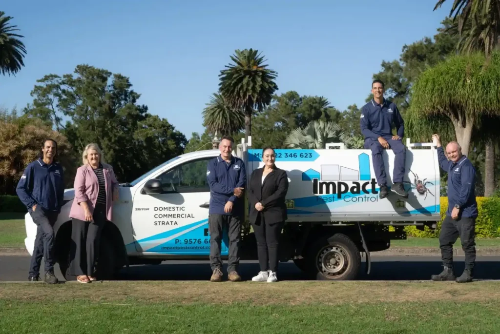 pest control blue mountains