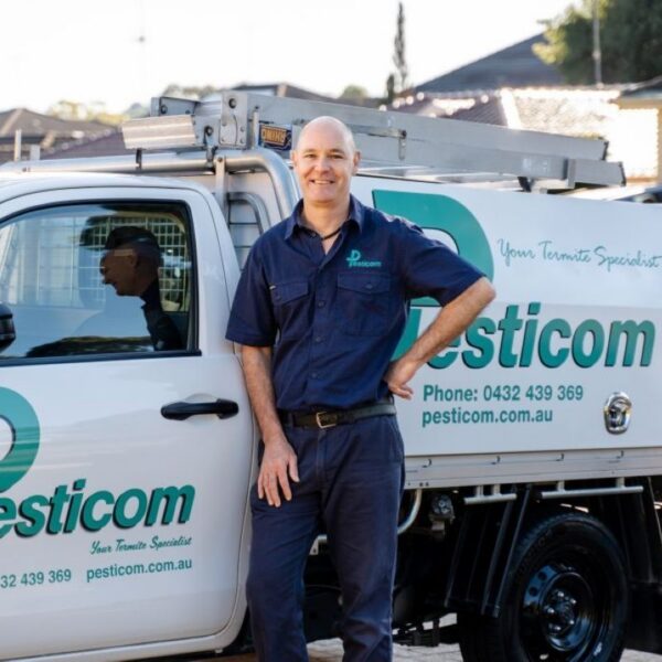 pest control blue mountains