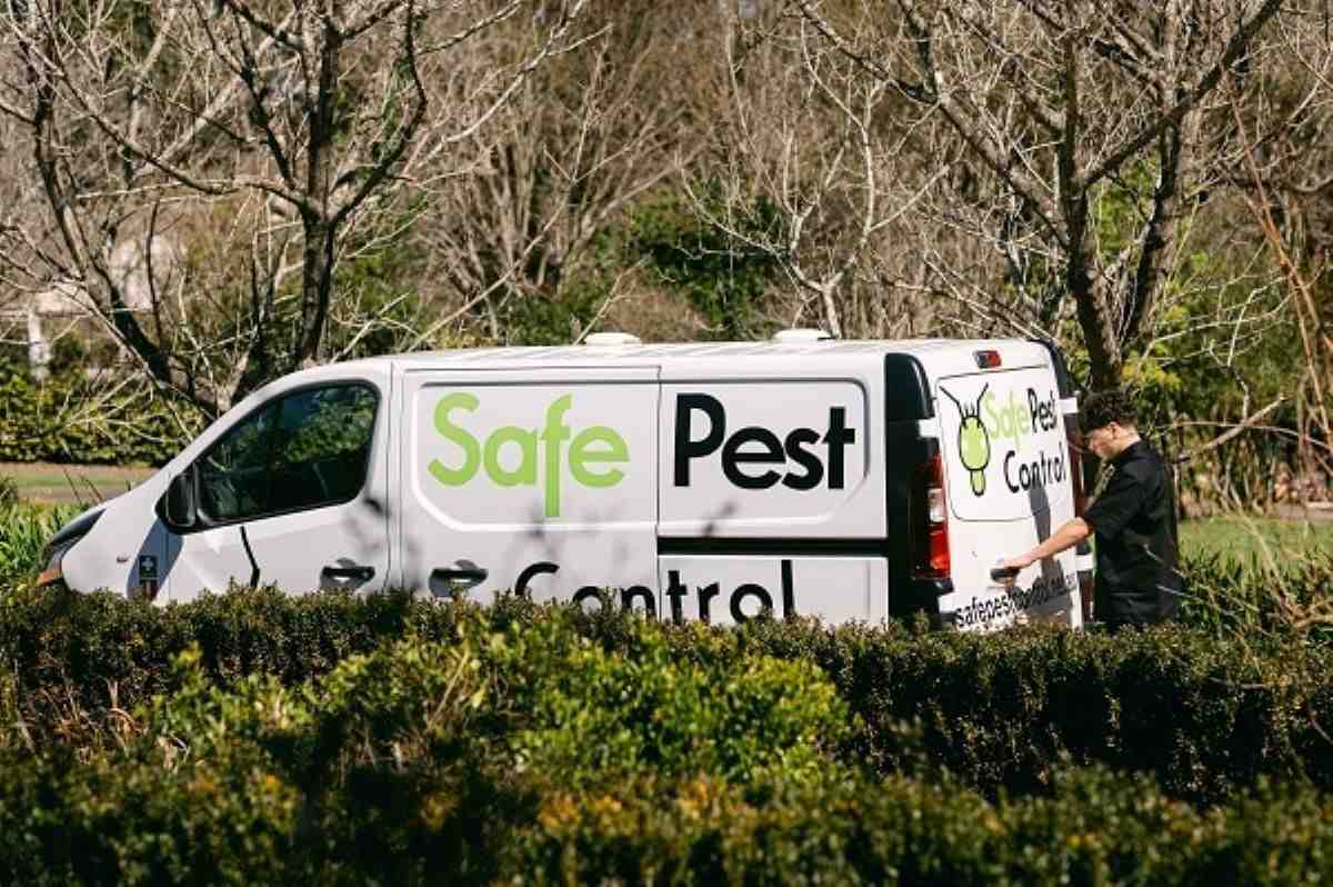 What To Ask Before Hiring Pest Control Companies Sydney Wide