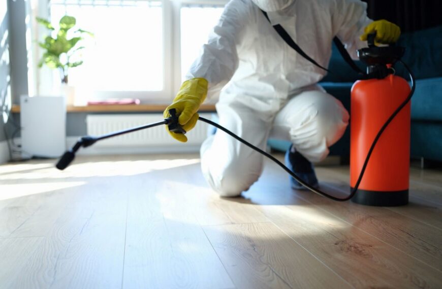 pest control blue mountains
