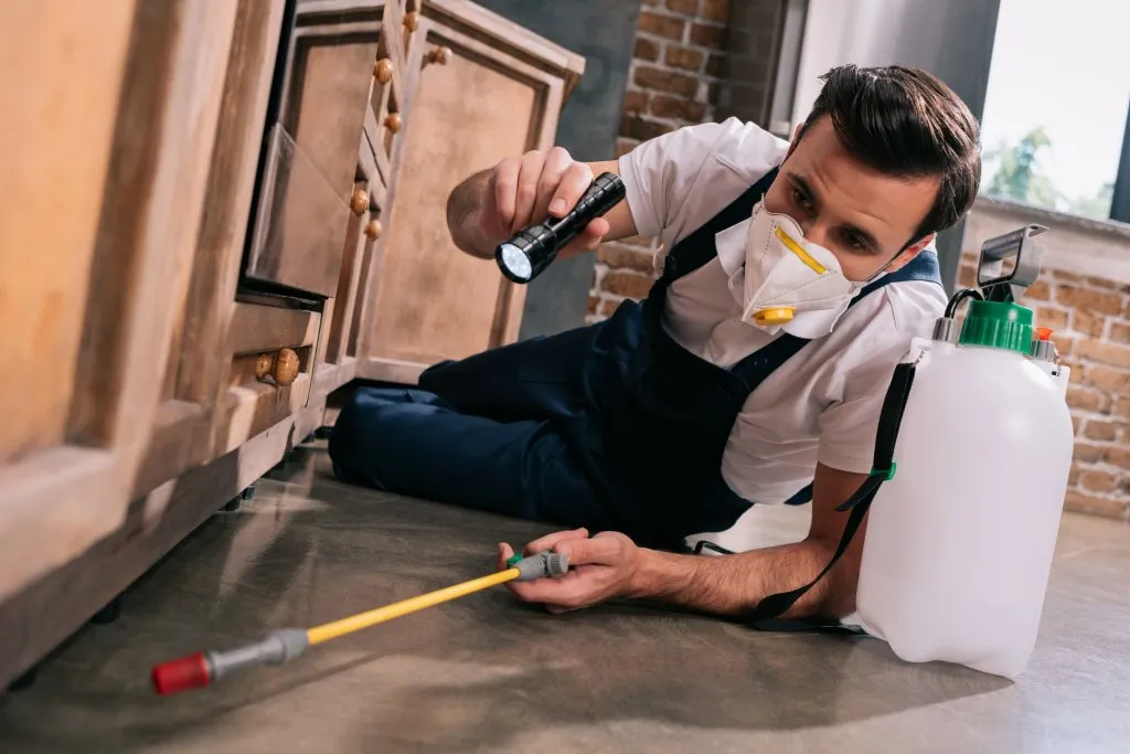pest control companies sydney
