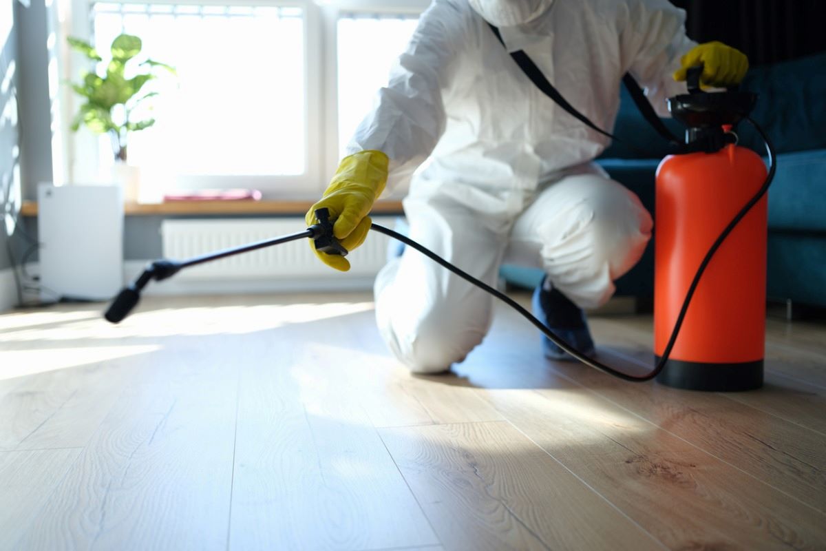 Rental Property Checklist For Pest Control Blue Mountains Landlords